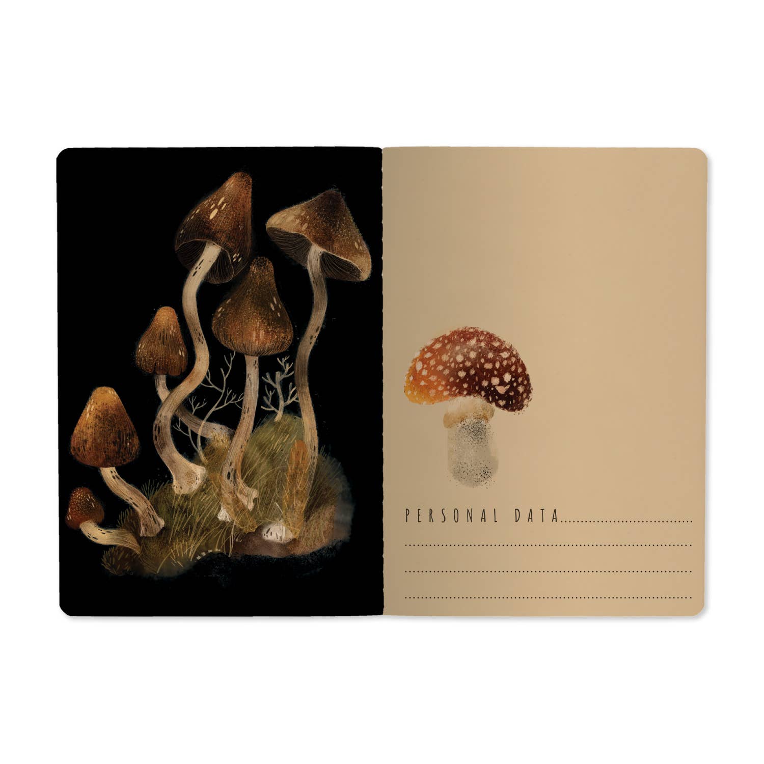 A5 Forest Mushrooms