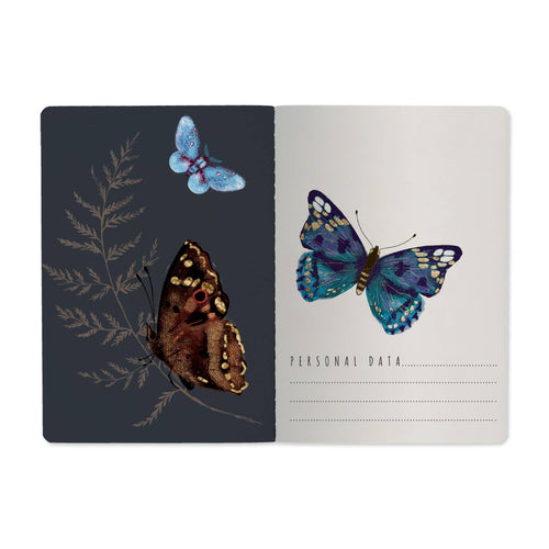 A5 Butterflies on White