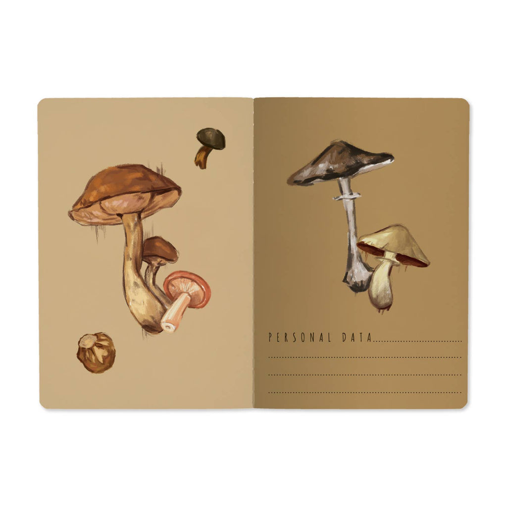 A5 Mushrooms on White