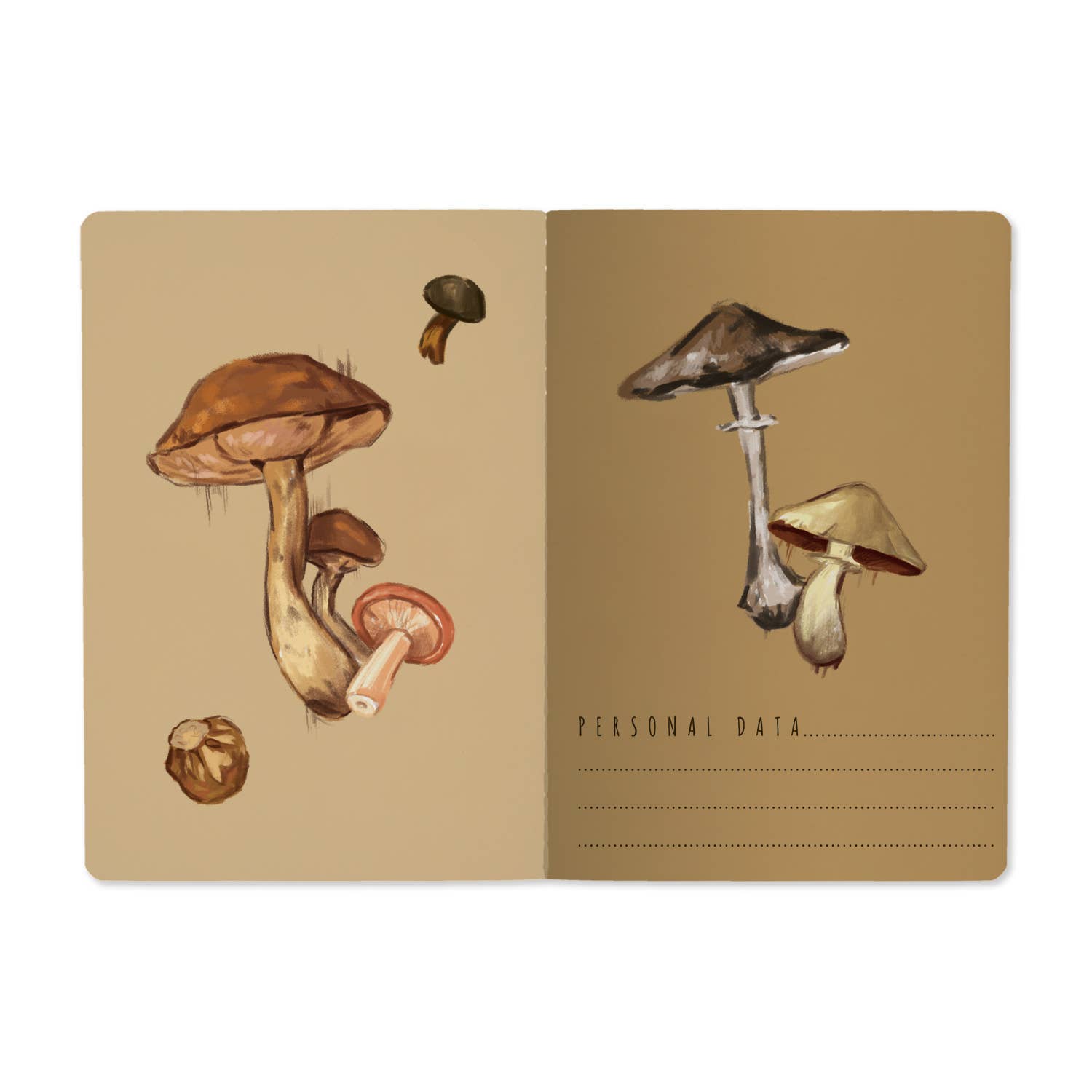 A5 Mushrooms on White