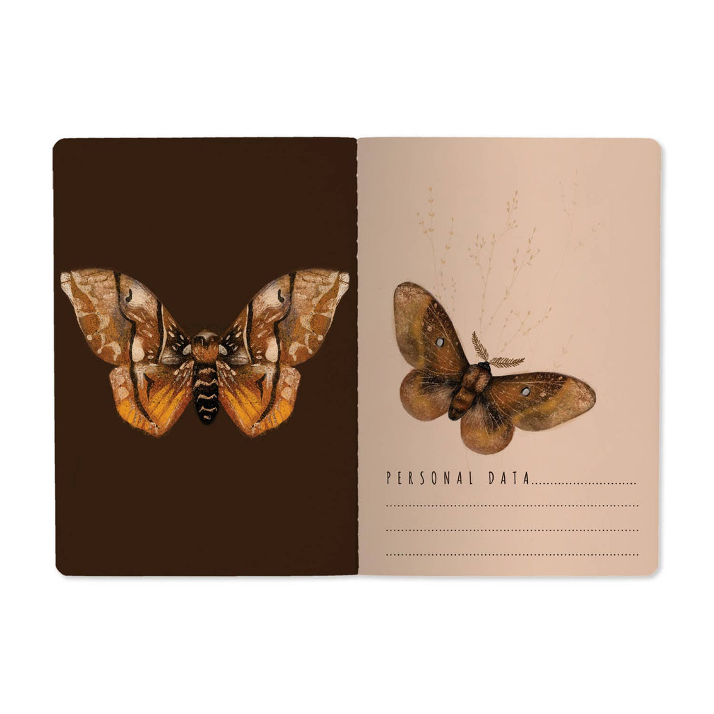 A5 Butterflies on Blush