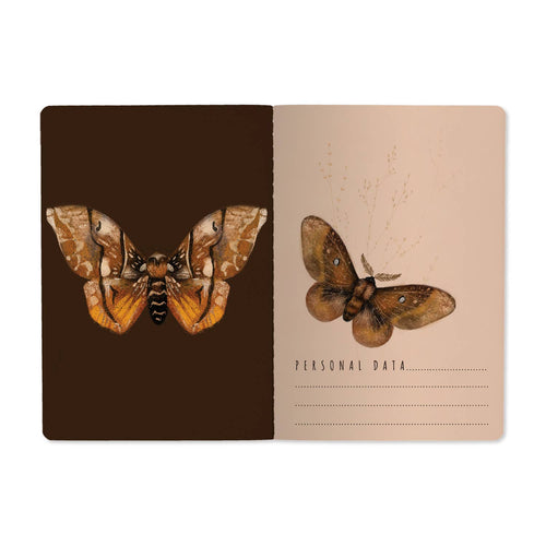A5 Butterflies on Blush