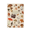 A5 Mushrooms on White