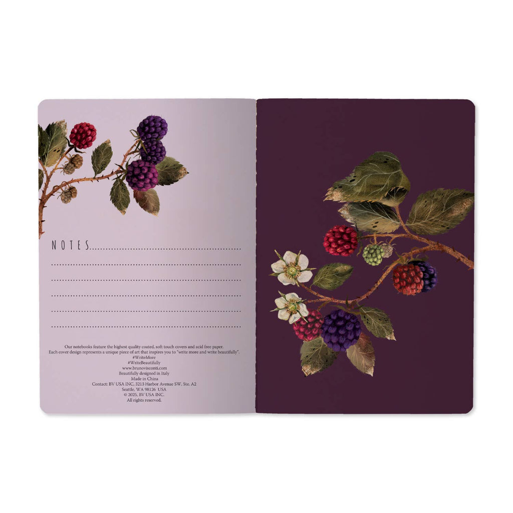 A5 Wild Blackberry