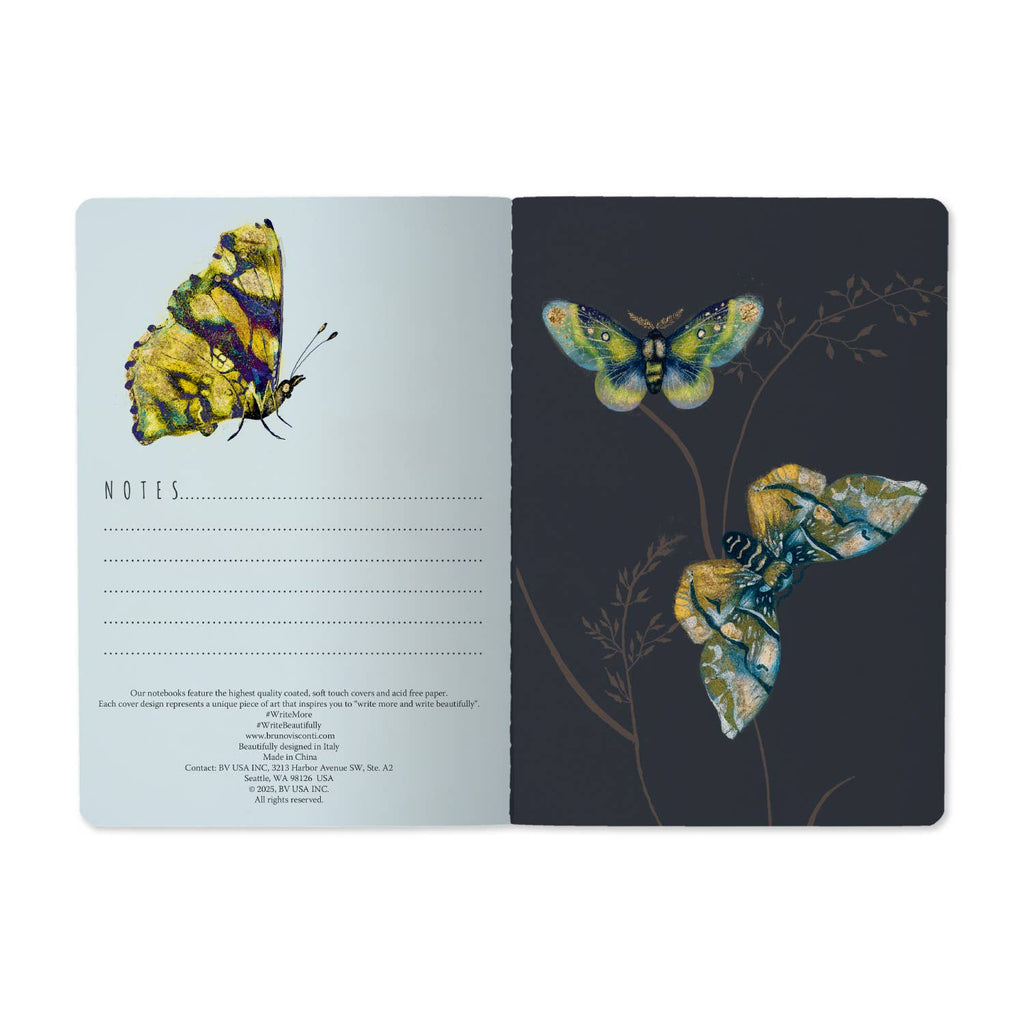 A5 Butterflies on White