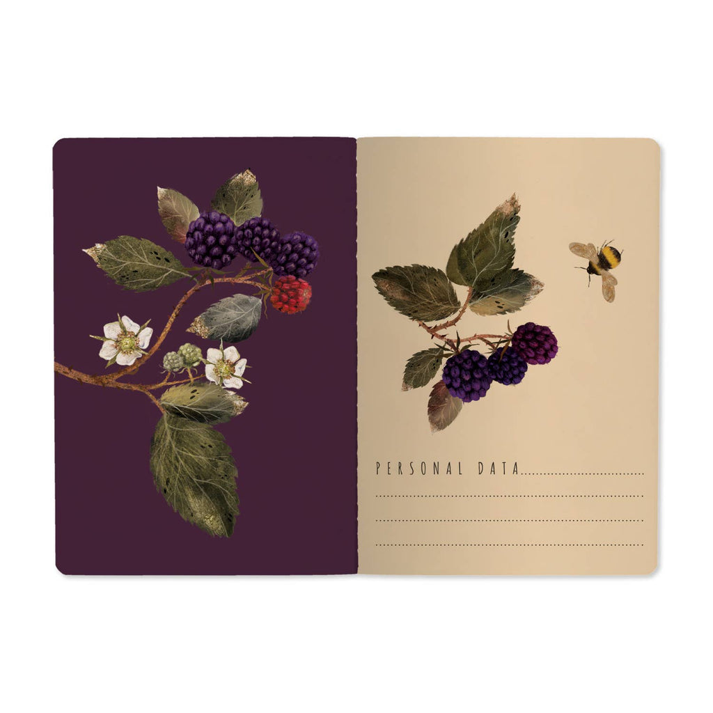 A5 Wild Blackberry