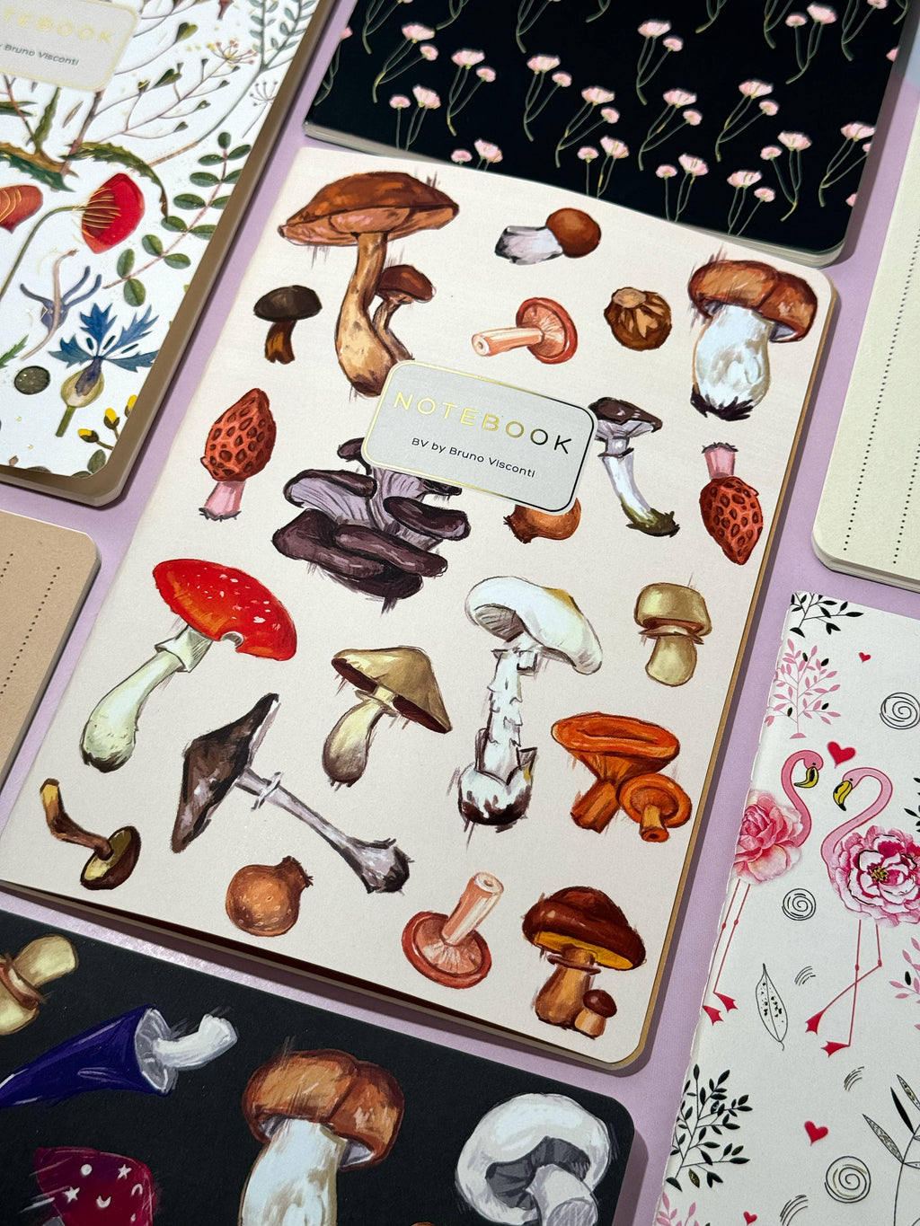A5 Mushrooms on White