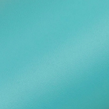 Teal leather strap on a white background