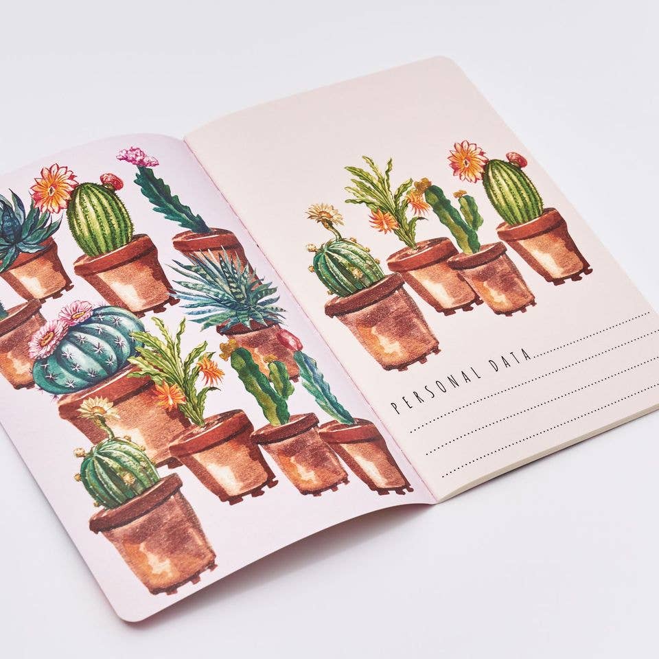 A5 Cactus on Rose
