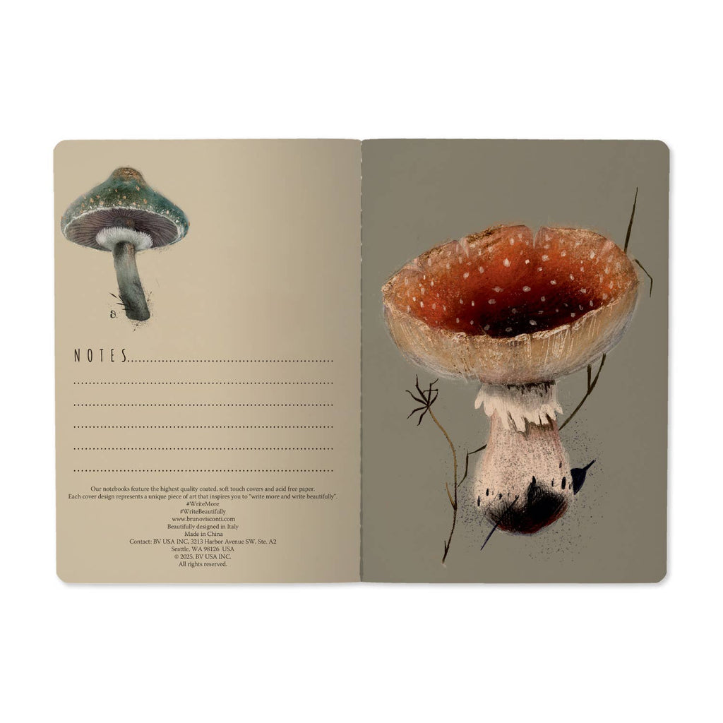 A5 Gourmet Mushrooms