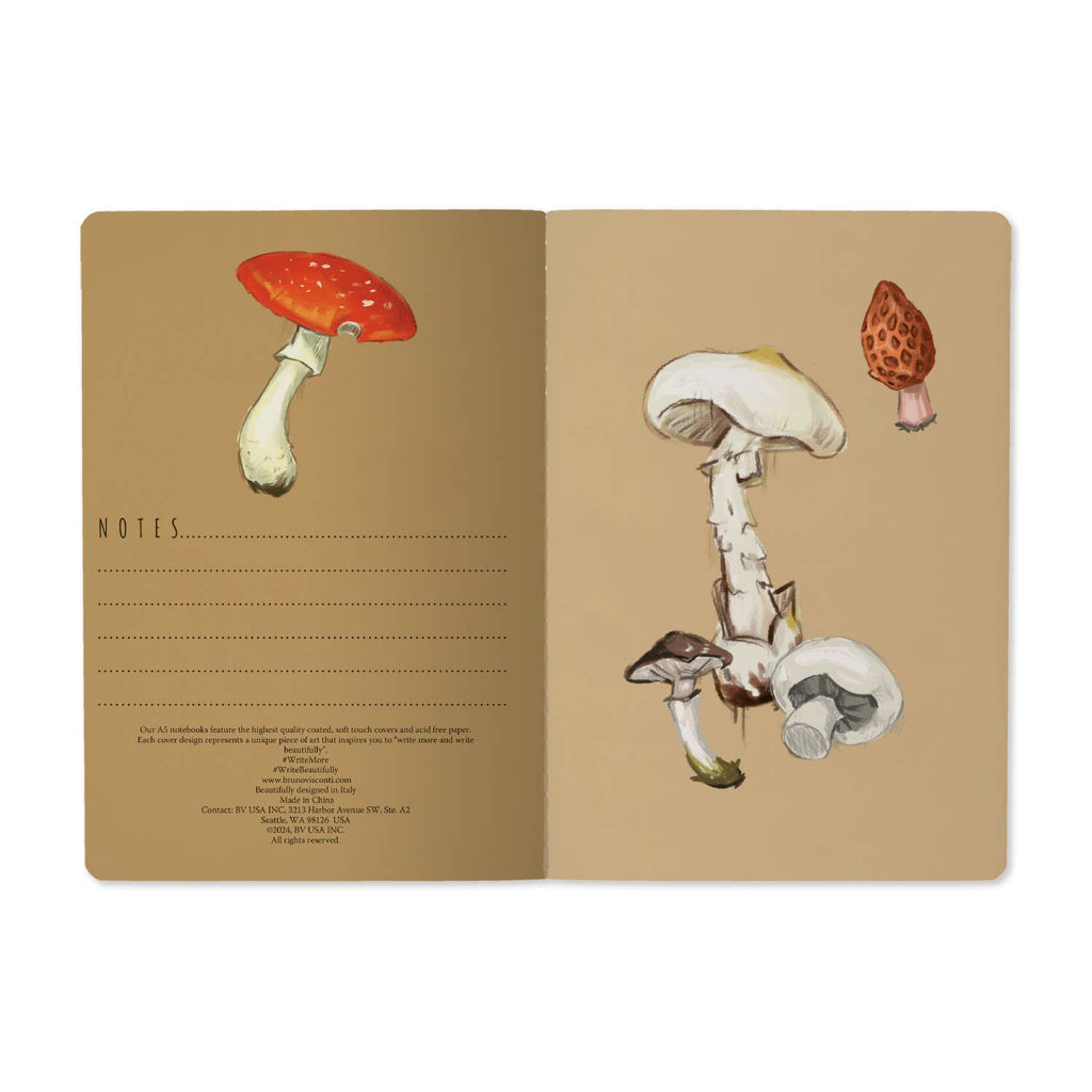 A5 Mushrooms on White