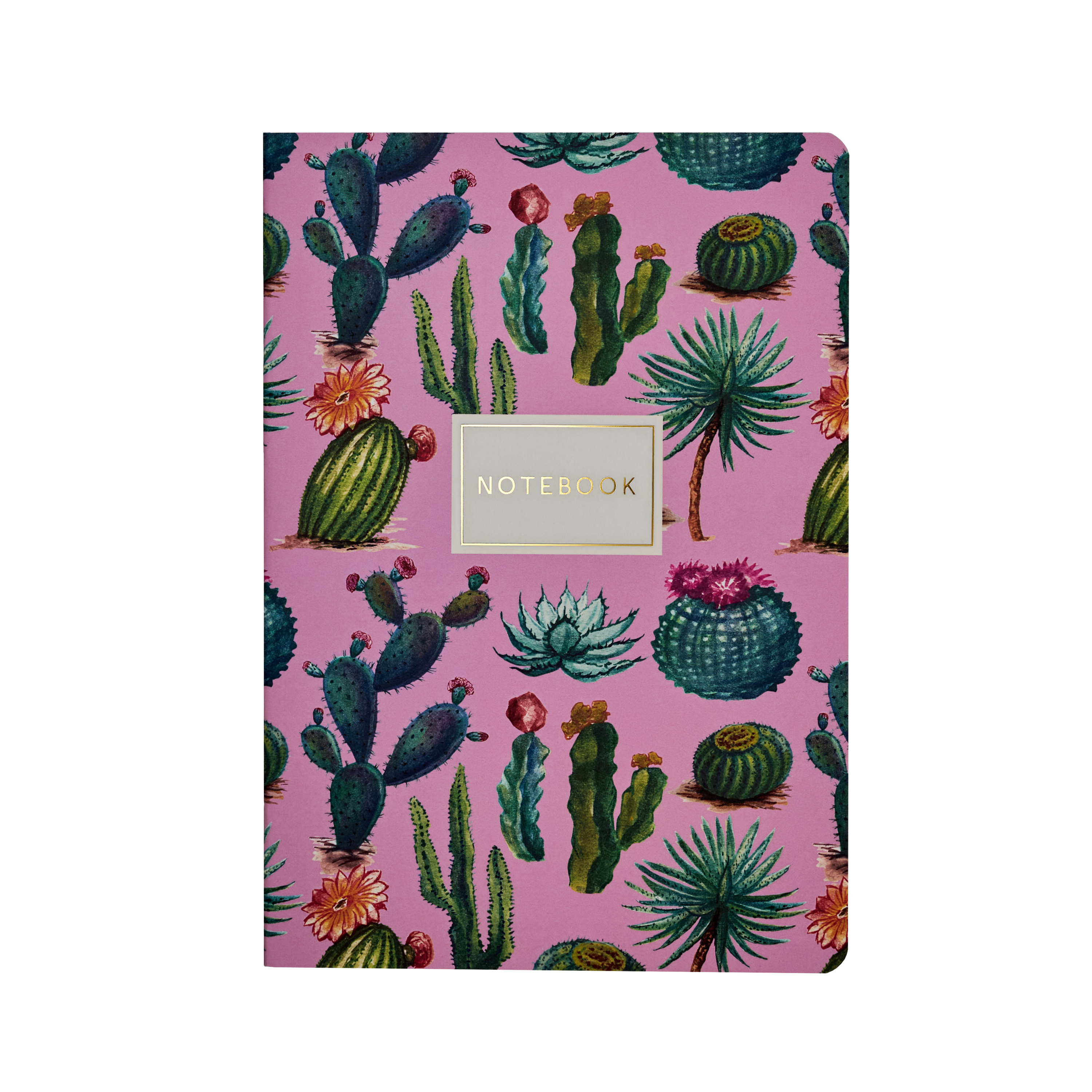 A5 Cactus on Rose